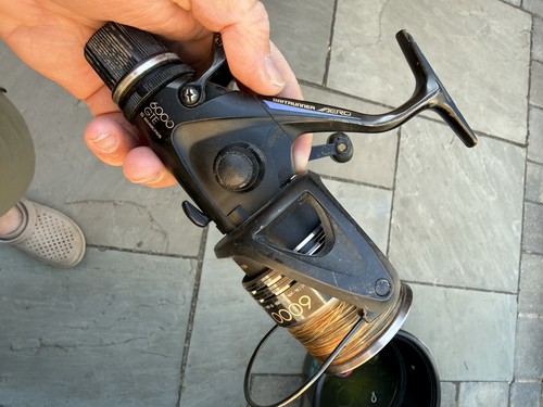 Shimano 6000 gte - gte, baitrunner