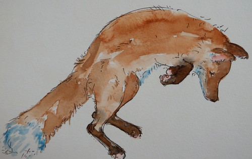 Fox watercolour painting - , of