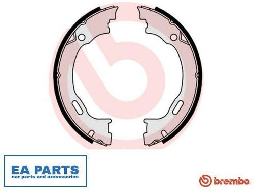 Brake shoe set parking - brake,