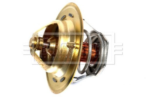 Borg beck bts261 82 coolant - borg,