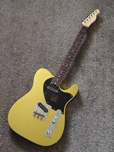 Custom built tele guitar - hz,