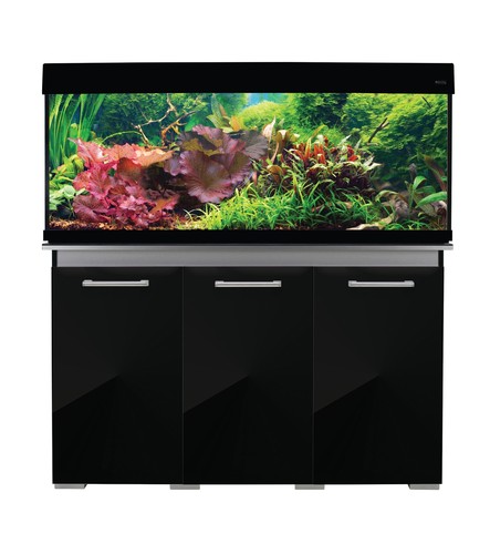 245l 120cm black tropical fish - 245l,