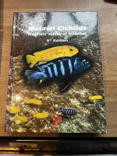Malawi cichlids their - malawi,
