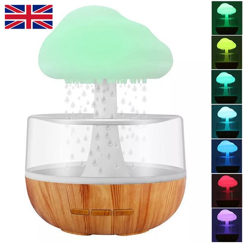Rain cloud air humidifier - air,