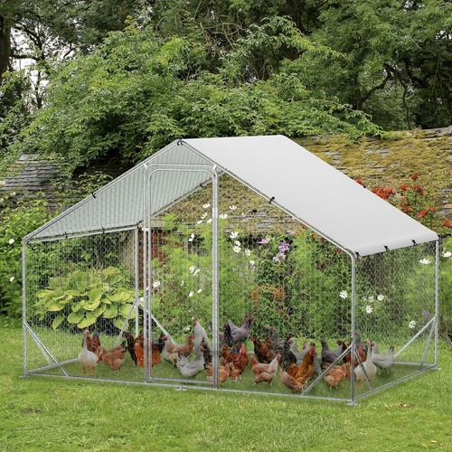 Large metal chicken run - chicken,