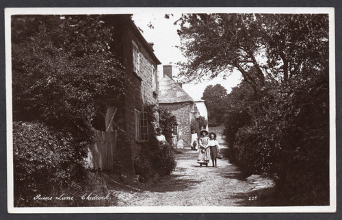 Postcard chideock bridport - postcard,