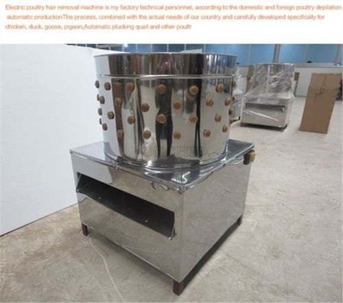 Turkey chicken plucker - /chicken,
