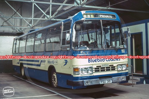 Bus coach photo - bus,