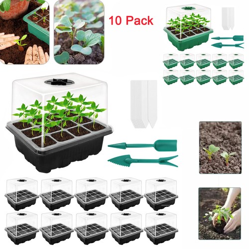 Pack mini propagator - 10,