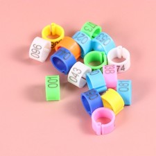 100 PCS Budgie Rings Canary