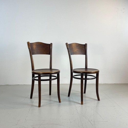 Vintage 1930s thonet crocodile - 1930s,
