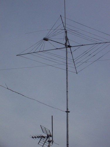 Cobweb antenna 7 band - cobweb, hf
