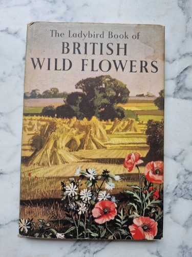 Ladybird book british - ladybird,