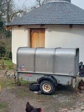 Ifor Williams Livestock Trailer