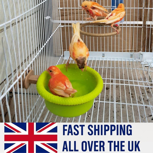 Multi function caged bird - multi-function,