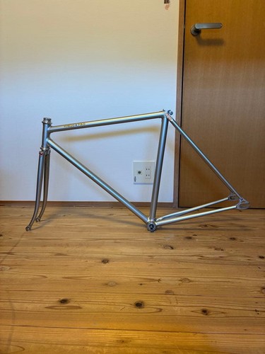Vivalo pro silver - silver, fixie