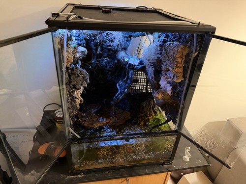 Full setup exo terra vivarium - setup,