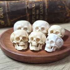 Carved Buffalo Horn Large Skull Ring Size 8 8.5 9.5 10.5 11 11.5 12 Unique Fun