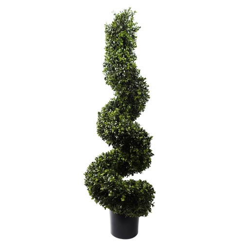 120 spiral boxwood - cm,