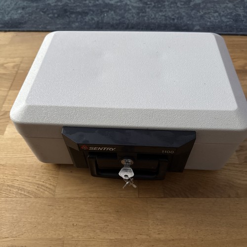 Sentry safe 1100 - fire,