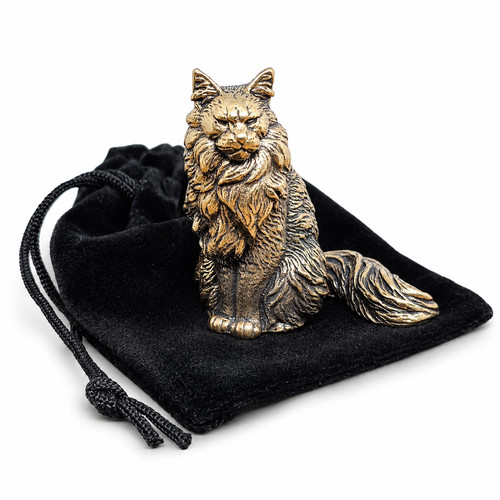 Maine coon cat brass - maine,