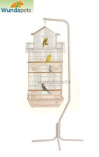 X LARGE JINTU BUDGIE CANARY