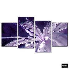 Floral Flowers BOTANICAL   BOX FRAMED CANVAS ART Picture HDR 280gsm