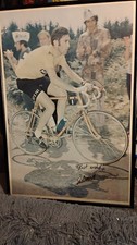 Large Signed Eddie Merckx