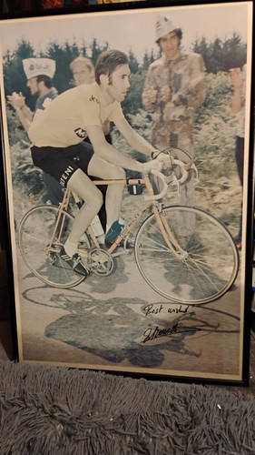 Large signed eddie merckx - eddie,