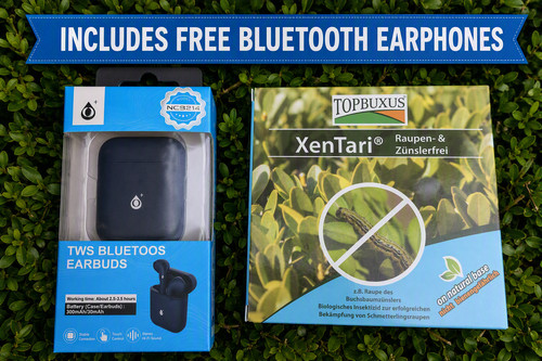 Topbuxus xentari box hedge - box,