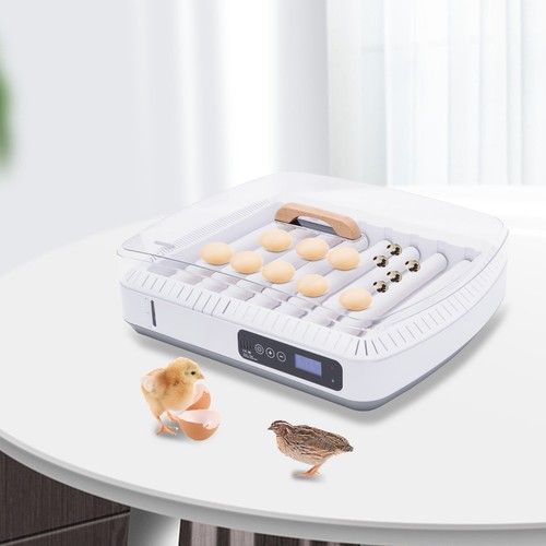 Eggs incubator automatic - incubator,