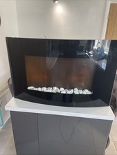 Curved Glass Electric