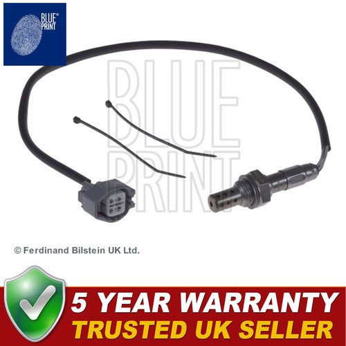 Blue print lambda oxygen - blue,