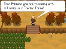 Gen 5 Rare Items: Reveal Glass, Key System (Pokemon Black 2, White 2)