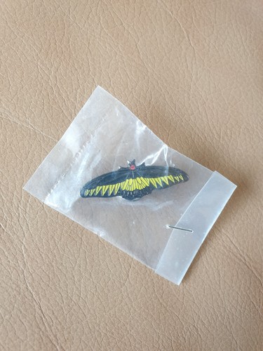 Rspb rajah brookes birdwing - rspb,
