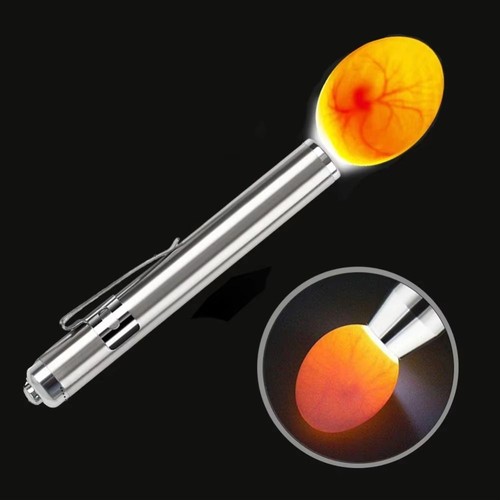 Stainless steel egg candler - steel,
