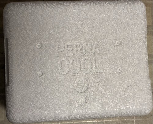Insulated styrofoam cooler - styrofoam,