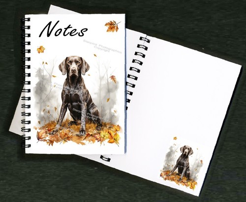 German shorthaired pointer - shorthaired,