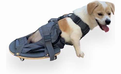 Pet scooter wheelchair for - scooter,