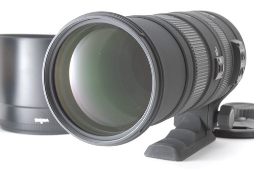 Mint hood sigma af apo - [mint,