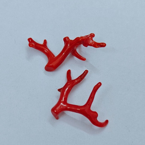 Red coral polish branch match - red,