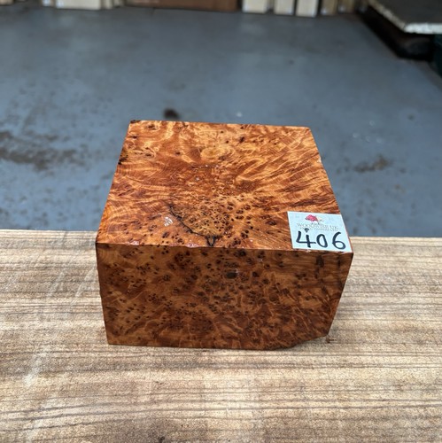 Thuya burr 5 x 3 - thuya, 3”
