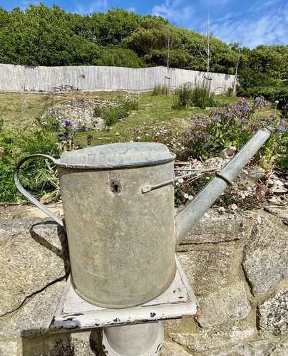 Vintage apex watering can - vintage,