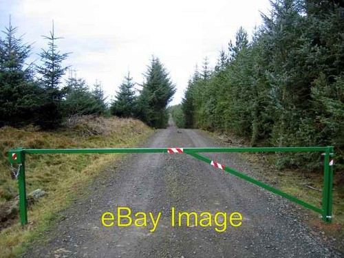 Photo 6x4 pedestrians only - 6x4,