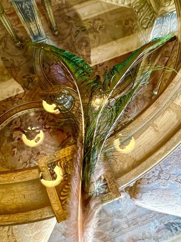 Peacock swords cut feather - peacock,