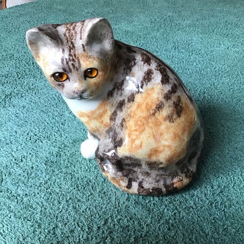 Winstanley tabby torte - tabby/torte, cat