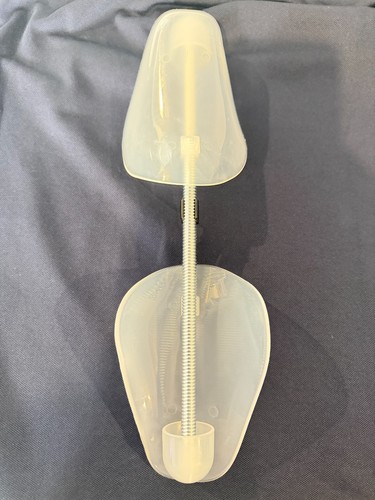 Pair shoe tree trees - of,
