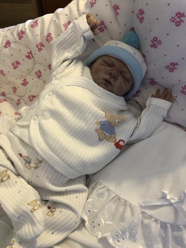 Reborn doll premature - doll, rosebud