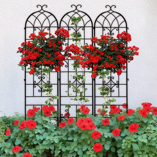 Metal garden trellis for - 3x,