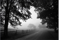 Ikea Bjorksta Misty Country
